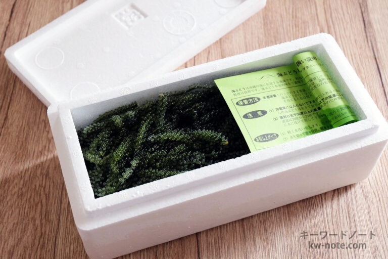 おいしい海ぶどうの選び方