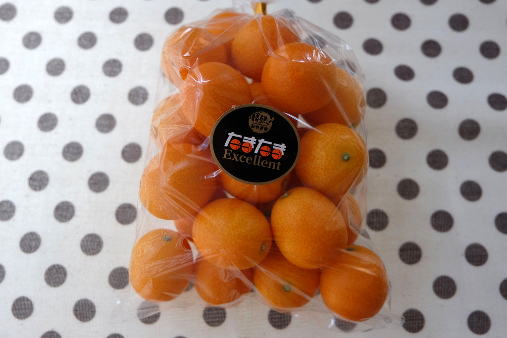 たまたまエクセレント