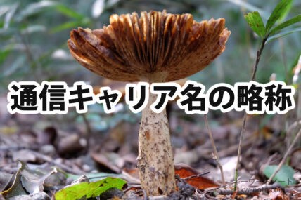 通信キャリアの略称