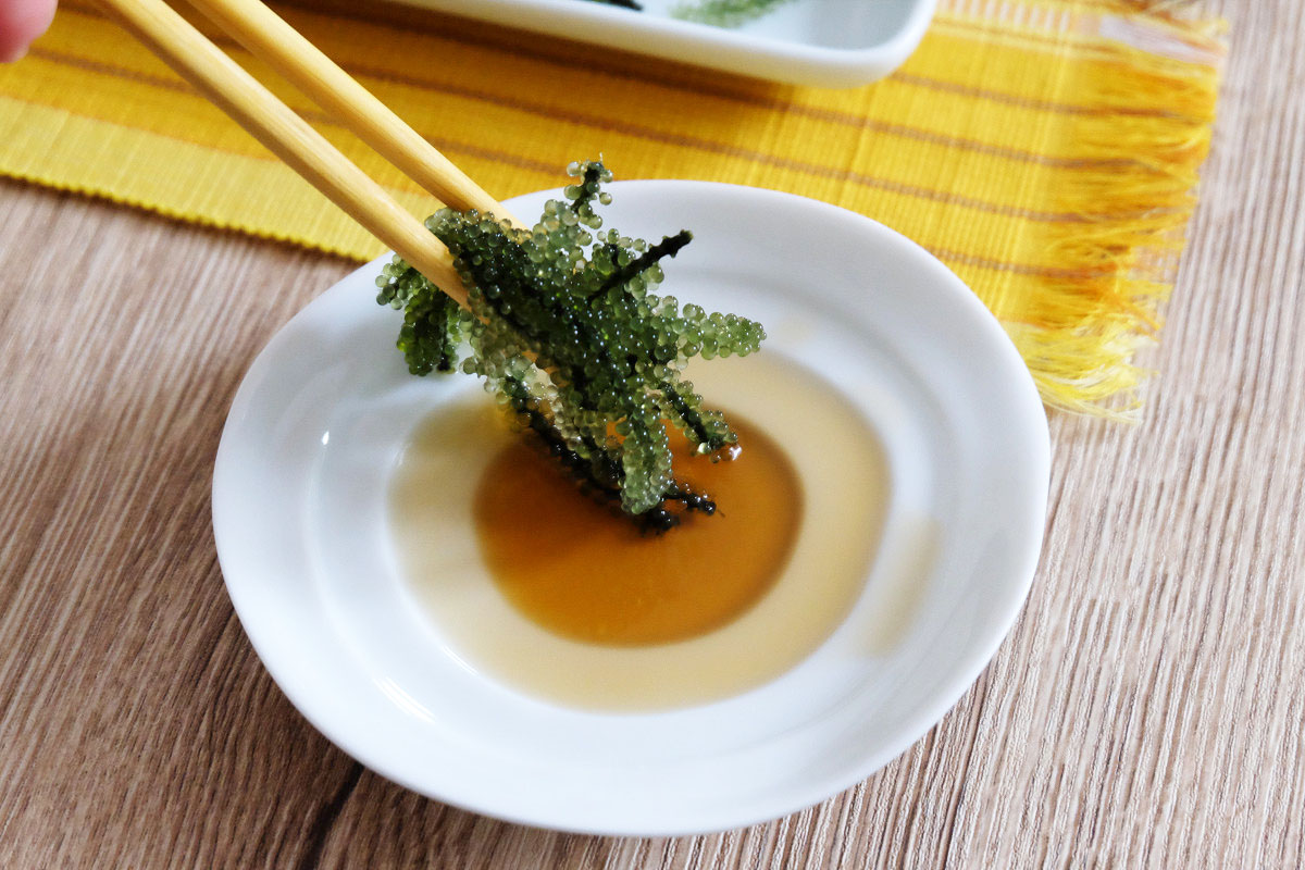 別皿に用意したタレ