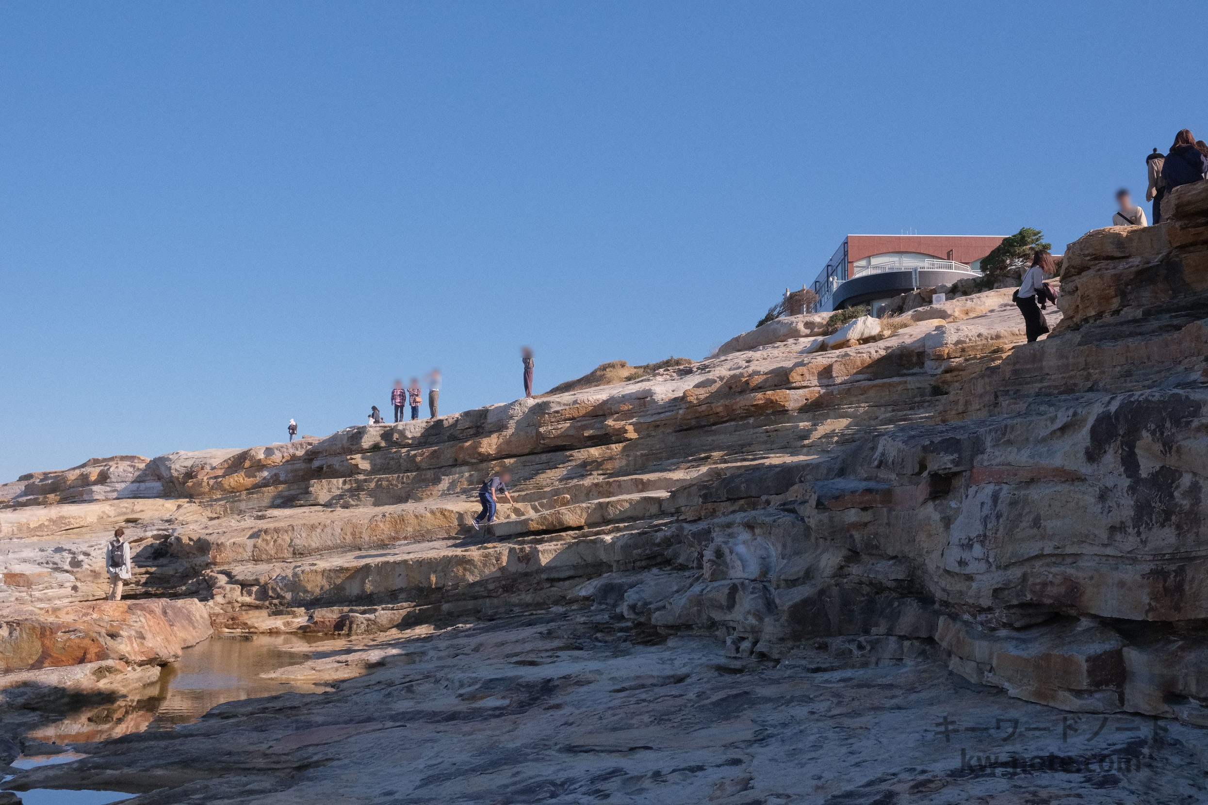 高台の地層から海を眺める人たち
