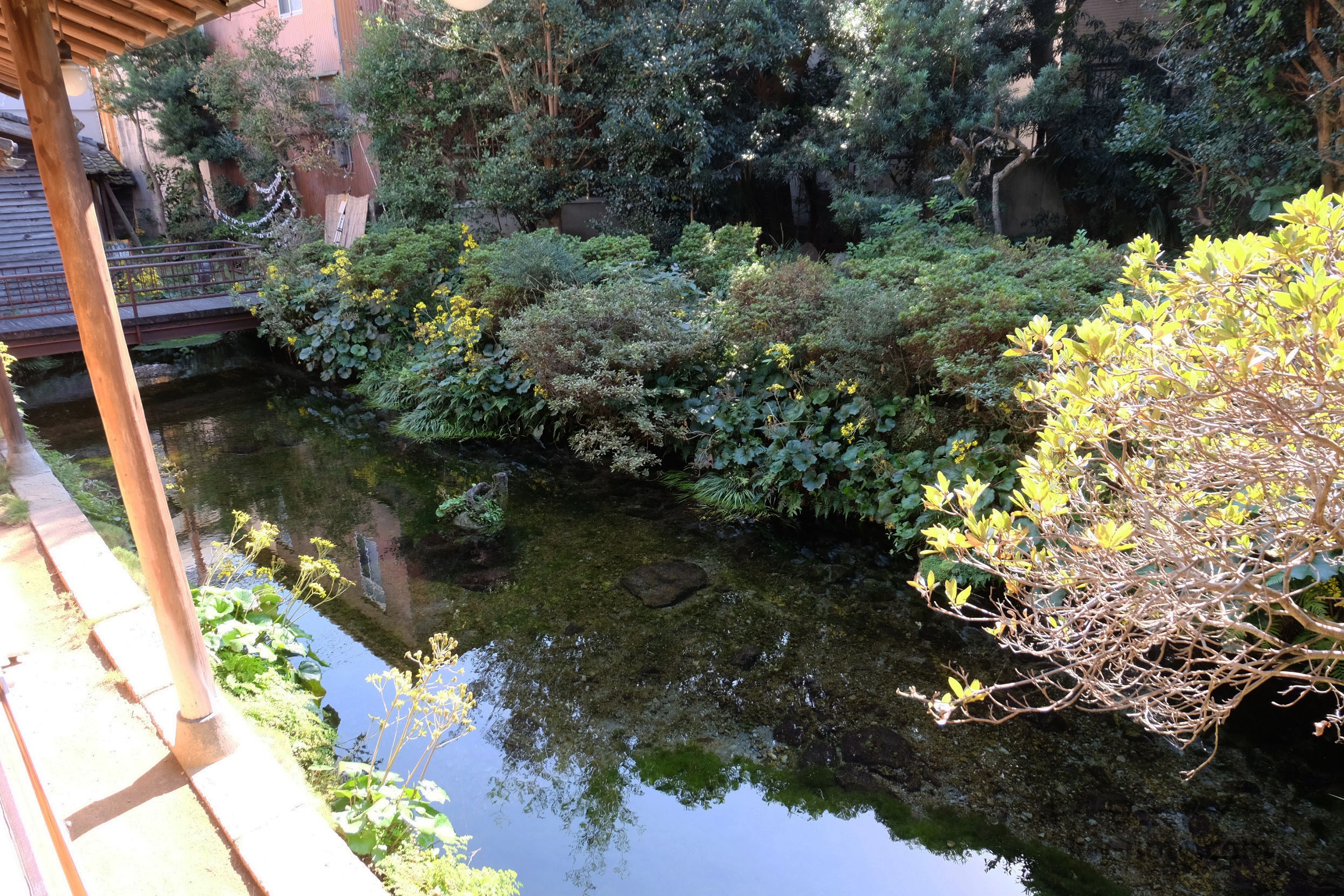 水面が反射する湧水の綺麗な池