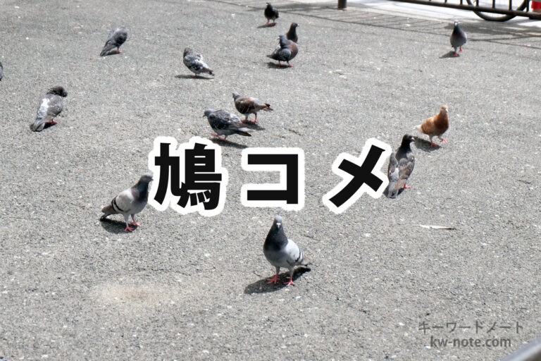 鳩コメ