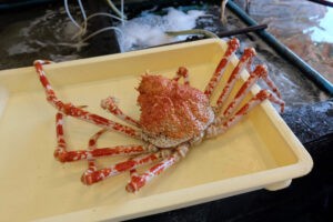 丸吉食堂（戸田）