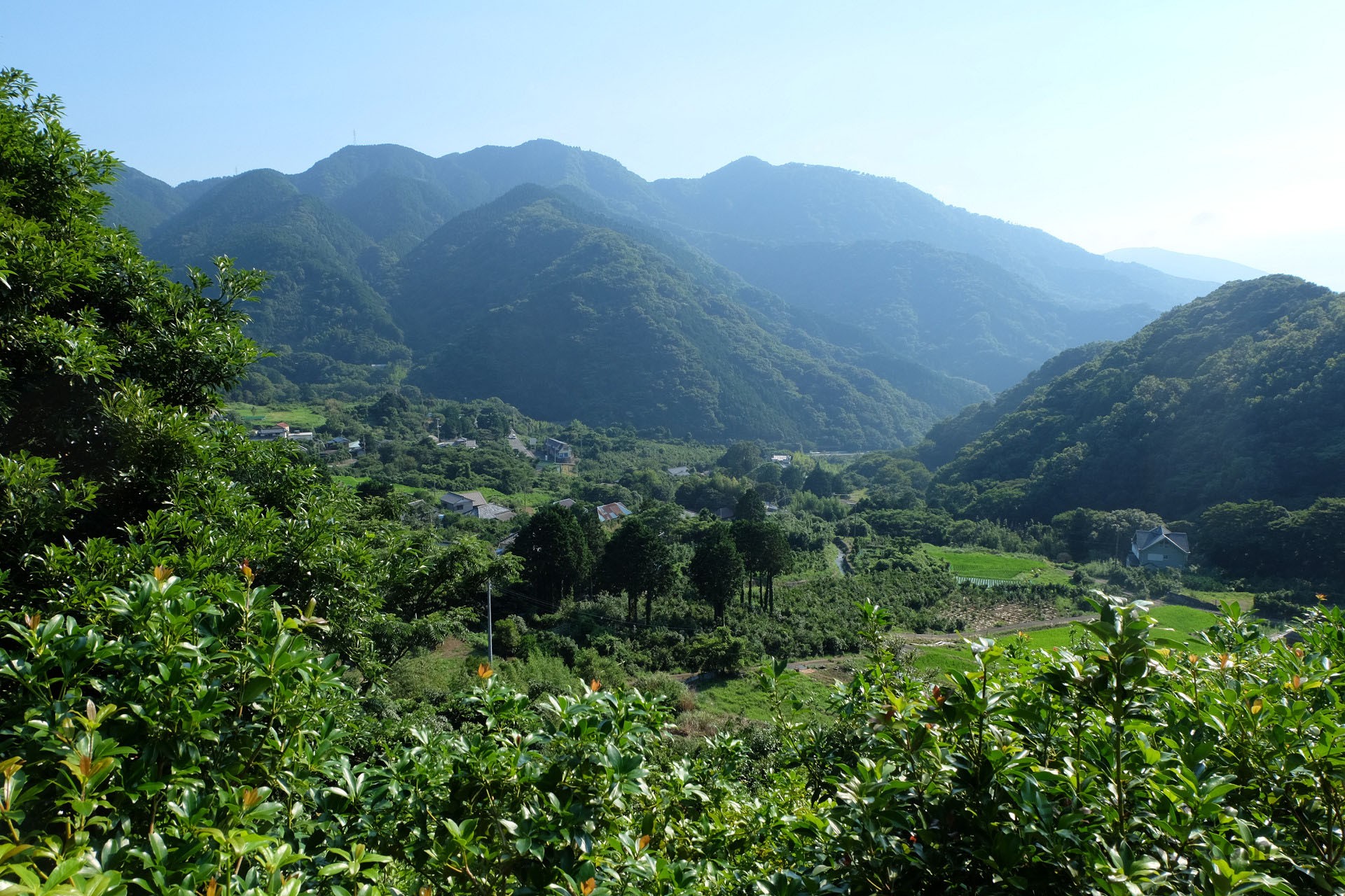 高台から見える北山の棚田
