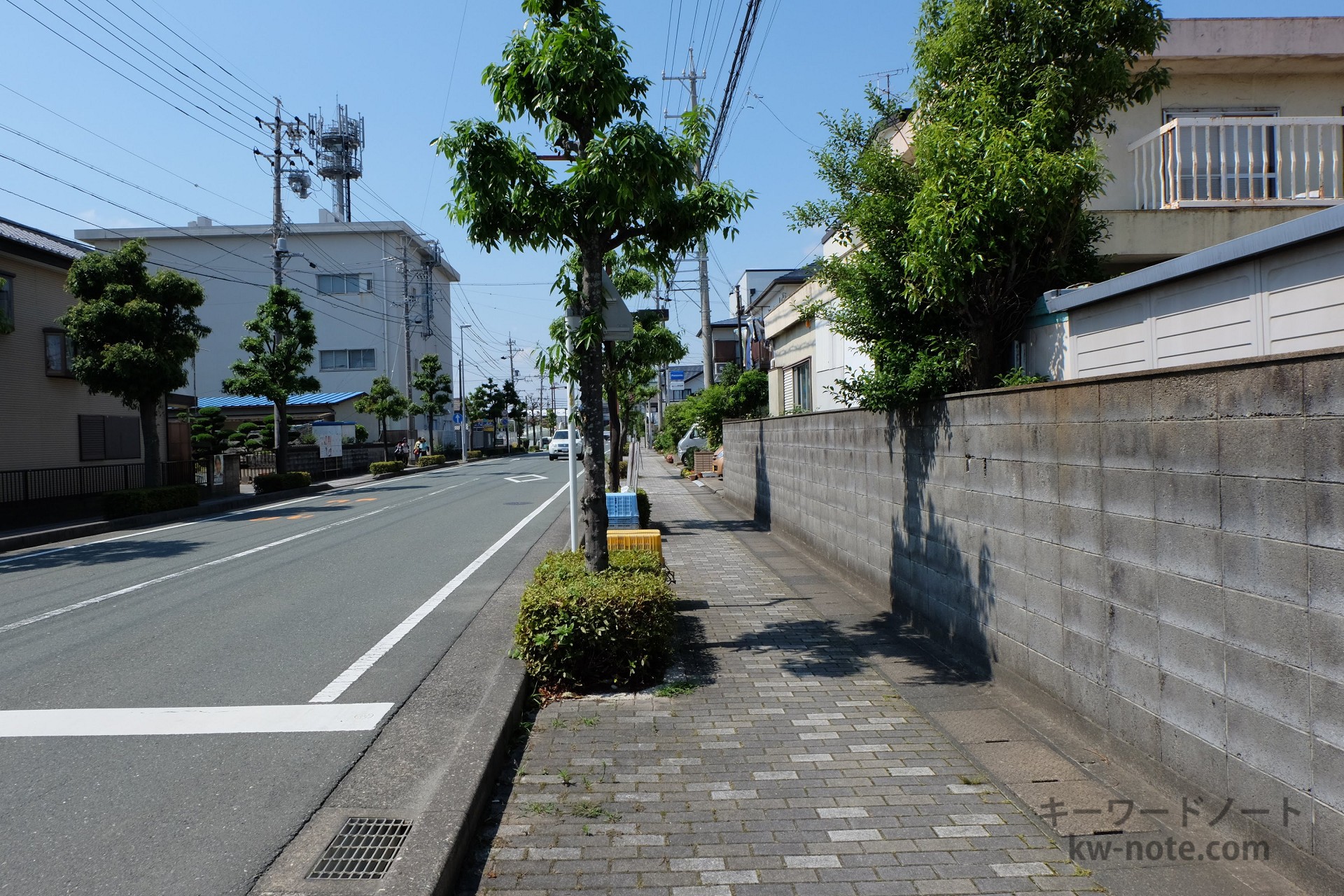店舗沿いの道路