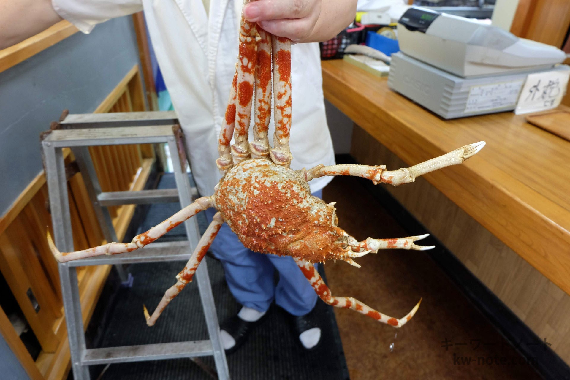 いけすから取ったタカアシガニ