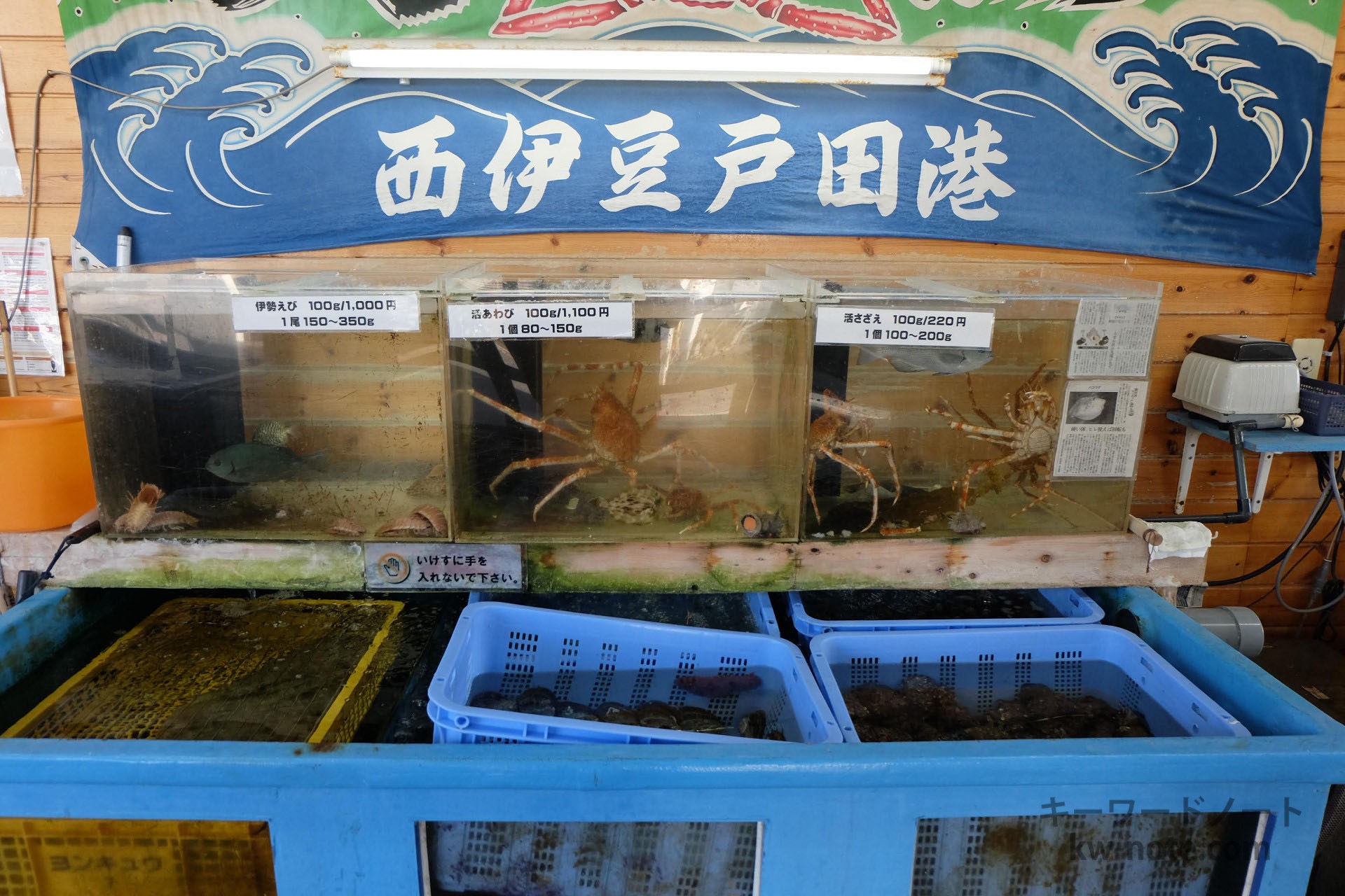 伊勢海老・あわび・さざえのいけす