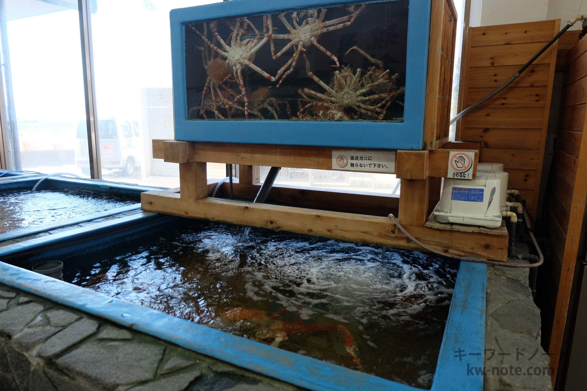 高足ガニの生け簀(いけす)と水槽