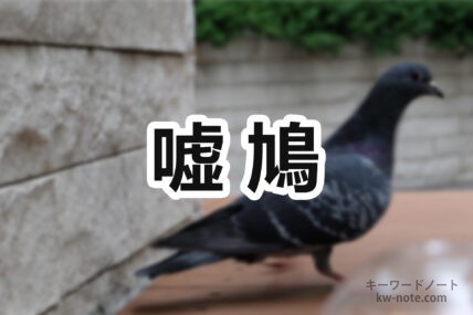 嘘鳩