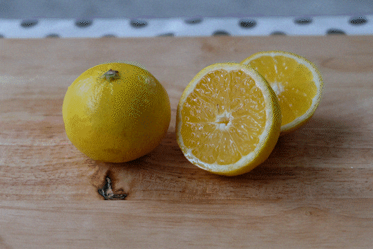 VR メビウスーム